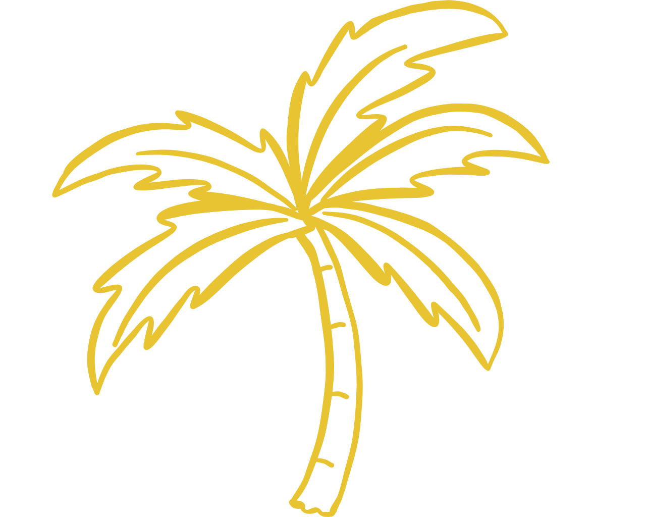 JBG Painting Services Wilmington Wrightsville Beach Painters (3)