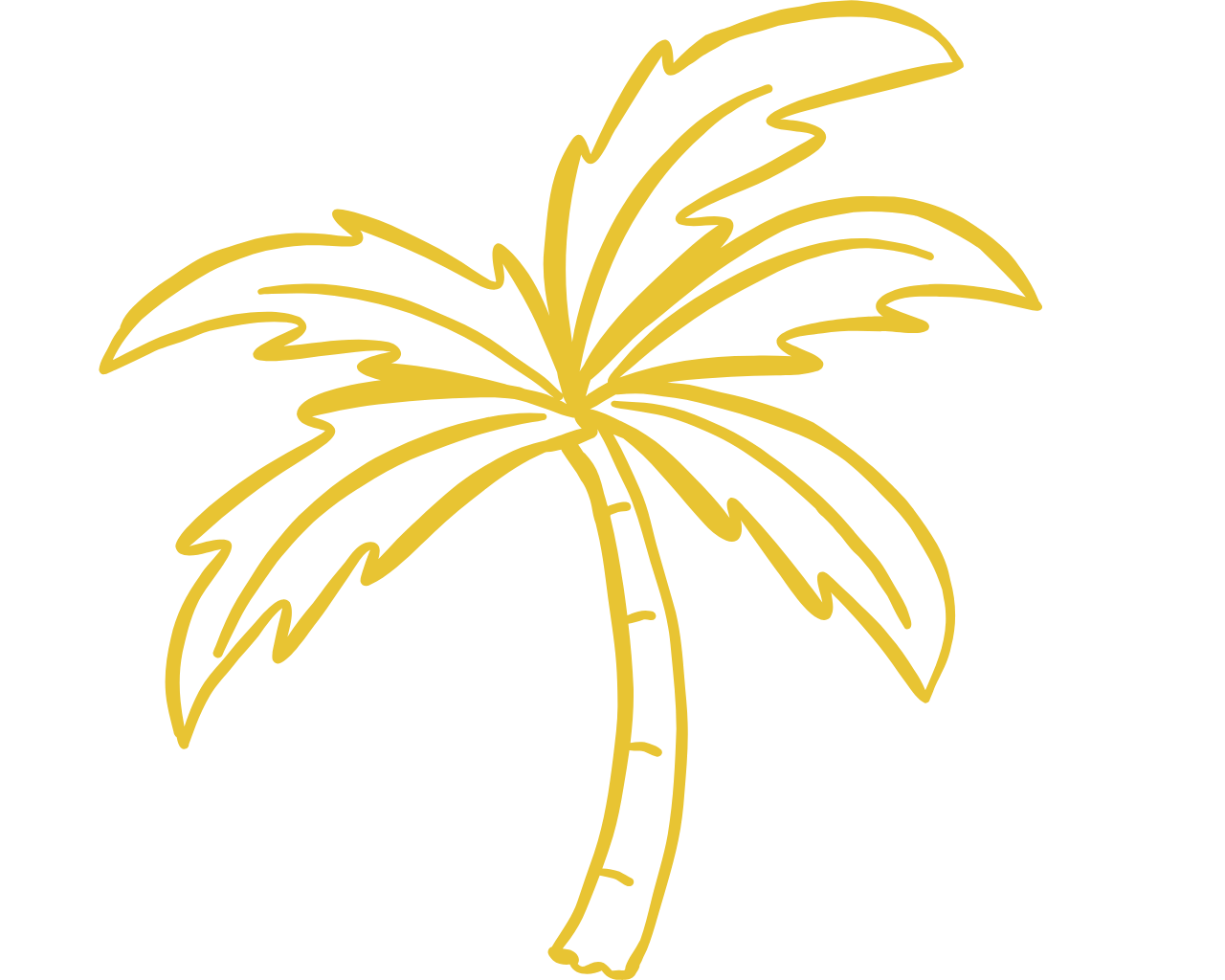 JBG Painting Services Wilmington Wrightsville Beach Painters (3)